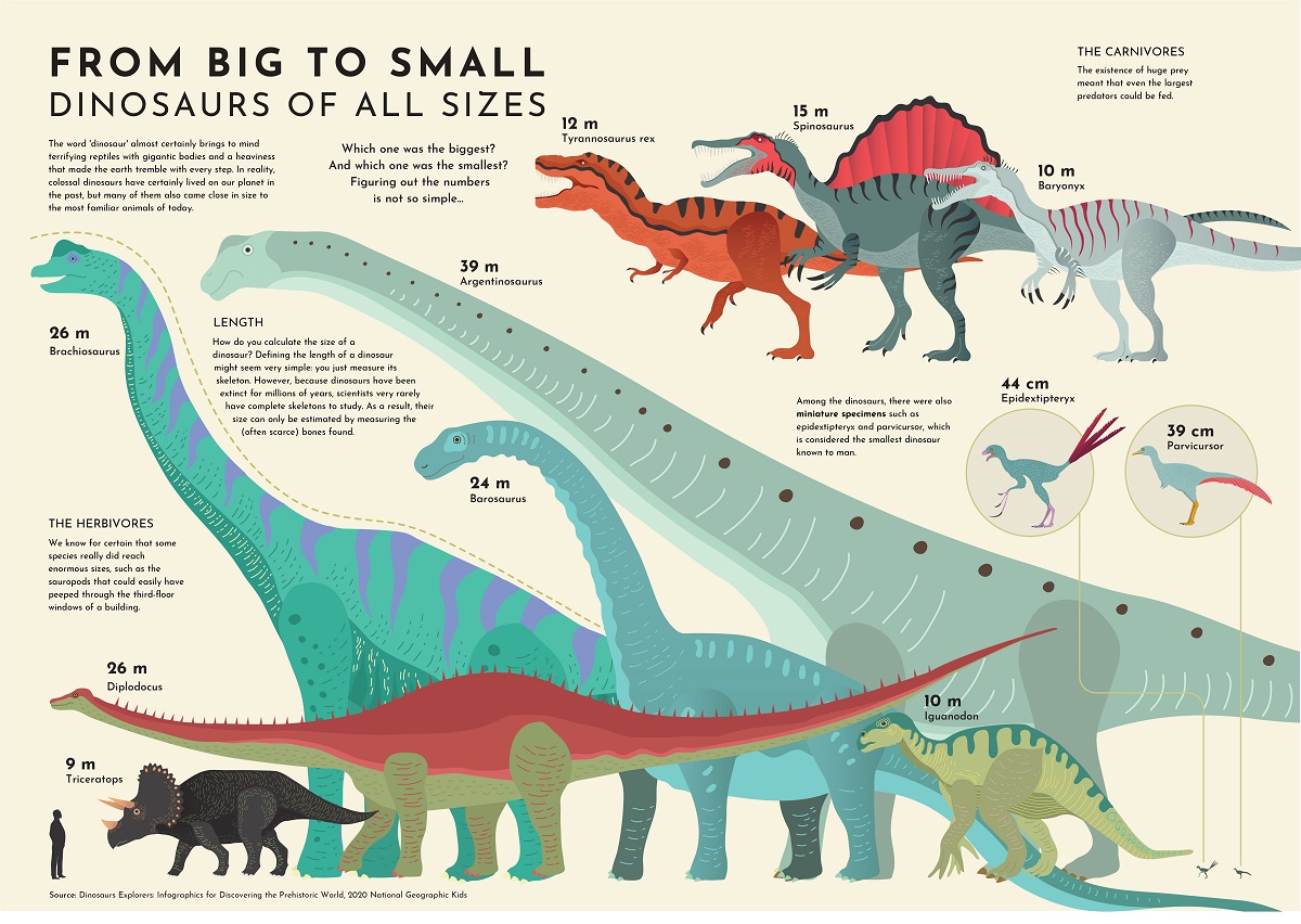 Bagnato Presidente Sponsor Jurassic World Evolution Dinosaur Size Comparison Gioca Ai Giochi Per