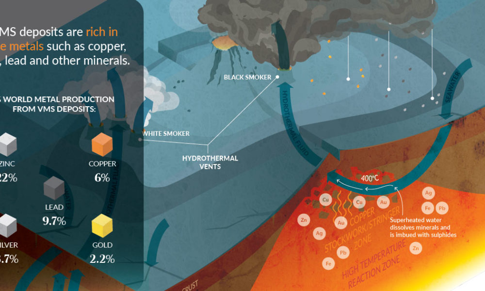 infographic-everything-you-need-to-know-about-vms-deposits