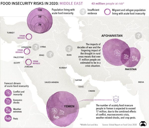 The Hunger Pandemic: How COVID-19 Worsens Global Food Insecurity