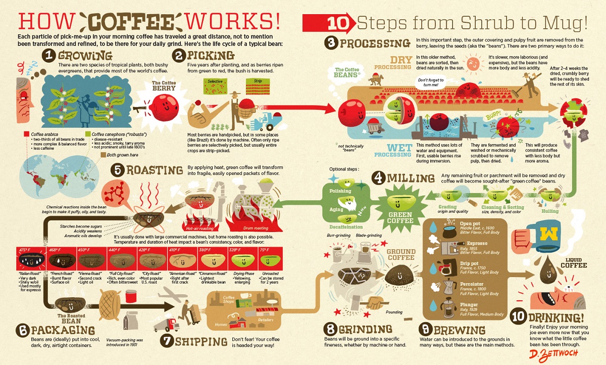 verschwenden Einschreiben Dampf starbucks coffee supply chain diagram ...
