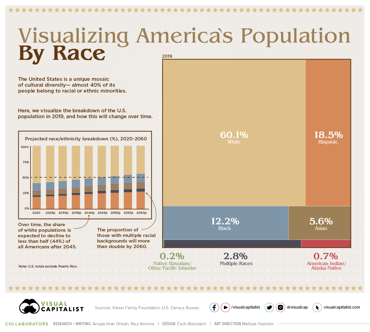 percentage of races in america