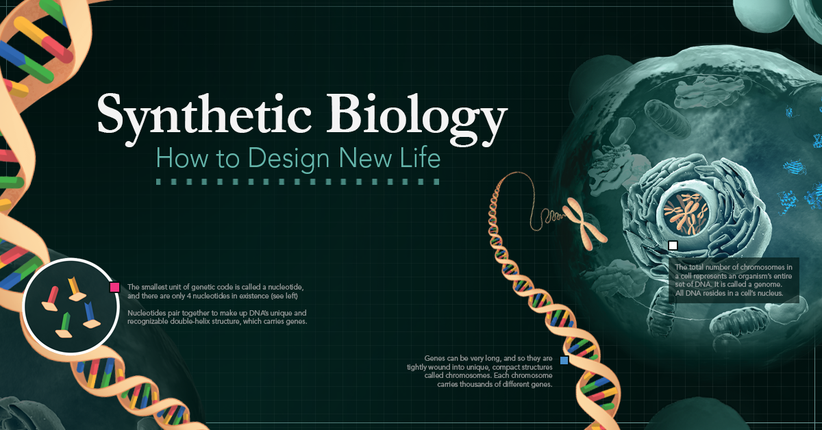 explainer-how-synthetic-biology-is-redesigning-life