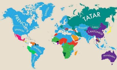 Data Stories: Mapping Global Languages