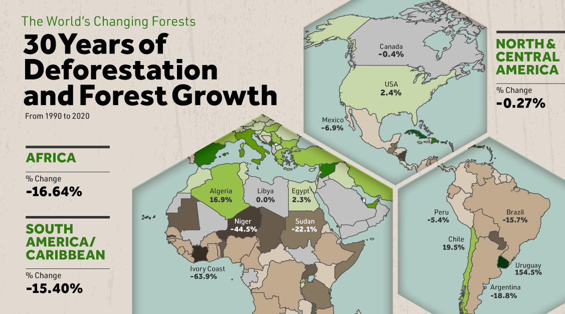 Mapped 30 Years of Deforestation and Forest Growth, by Country