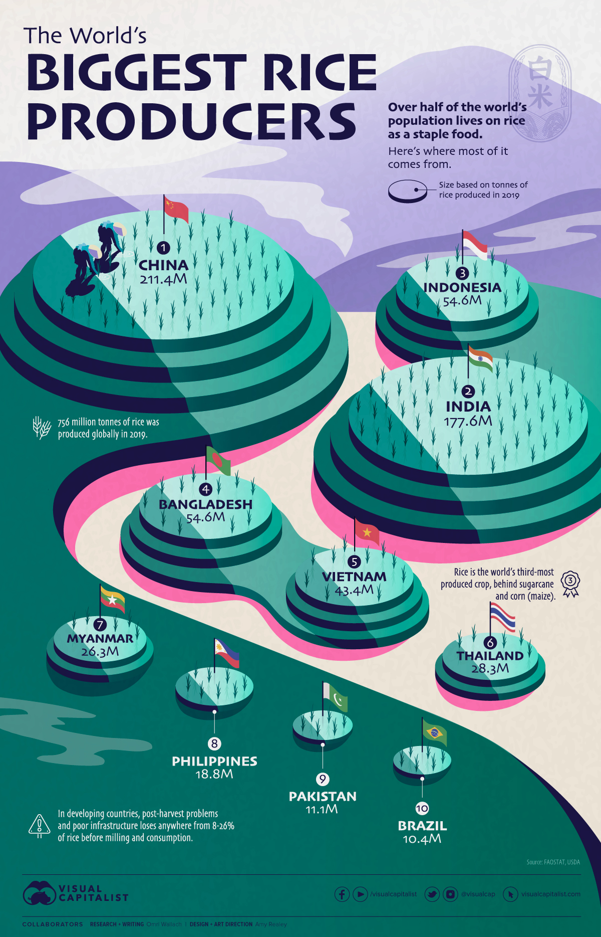 Visualizing The World s Biggest Rice Producers SRI LANKA