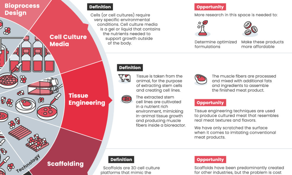 https://www.visualcapitalist.com/wp-content/uploads/2022/05/Cult-Food-Science-Cultured-Food-shareable-May12-1000x600.jpg