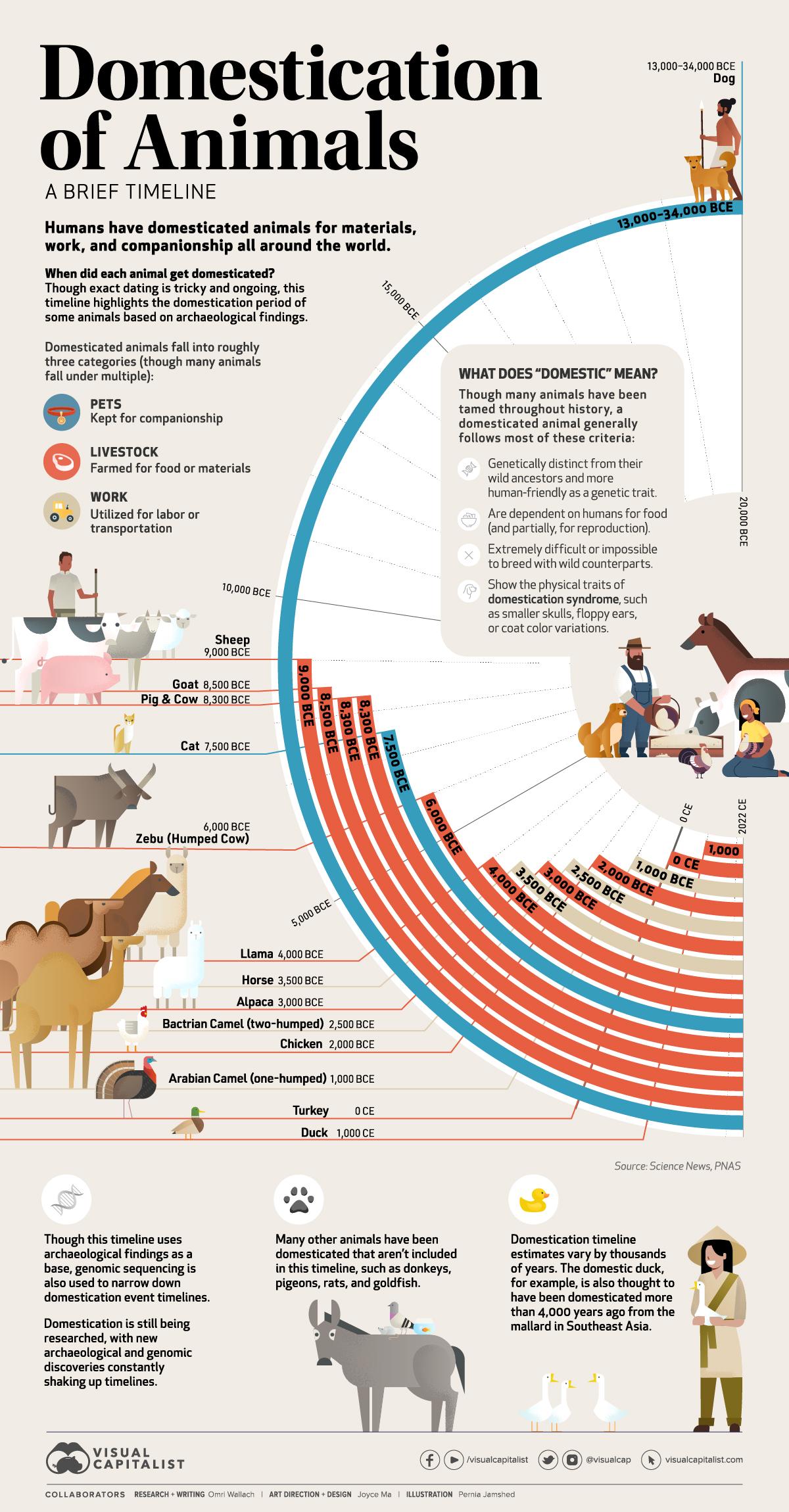 domestication of animals timeline