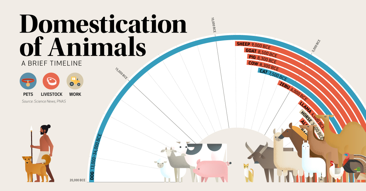 Domestication Of Animals Shareable01 