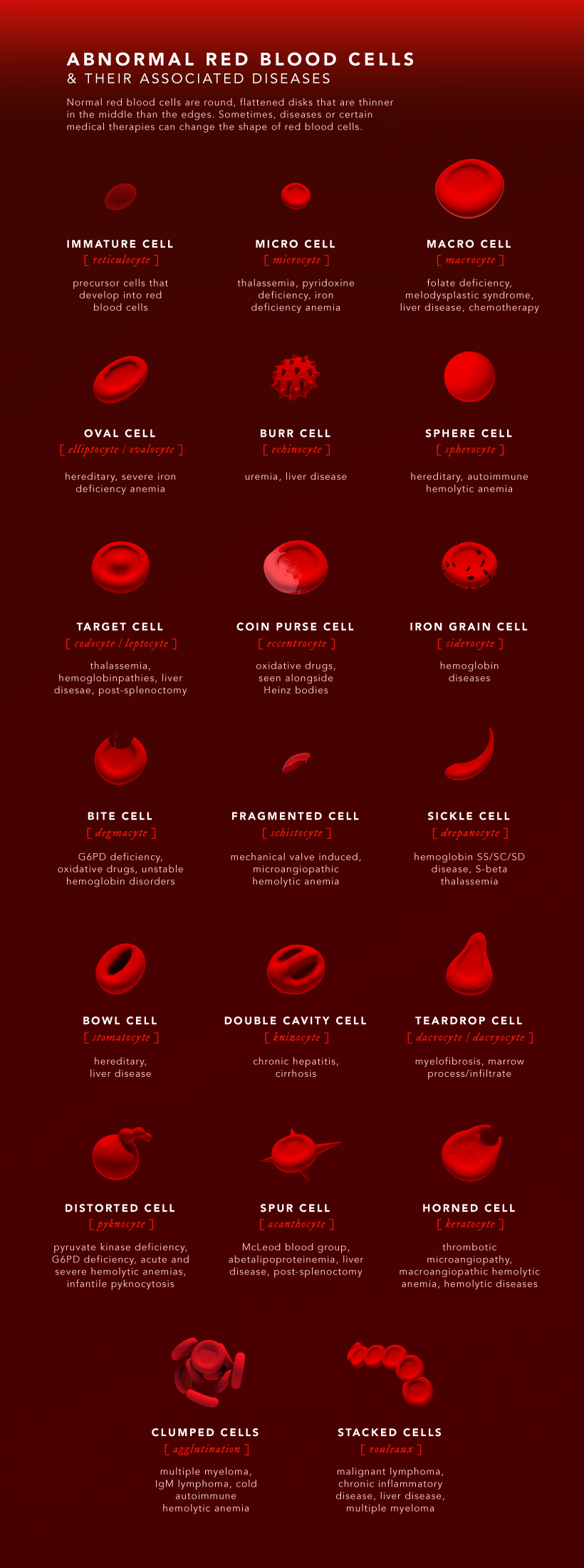 Abnormal Red Blood Cell Chart