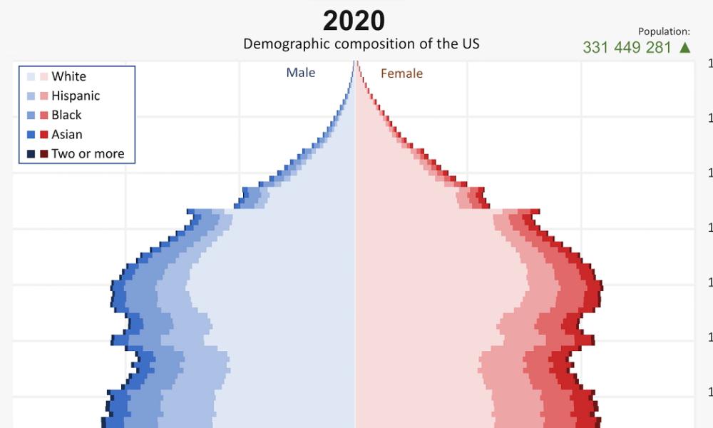Animated Chart America's Demographics Over 100+ Years