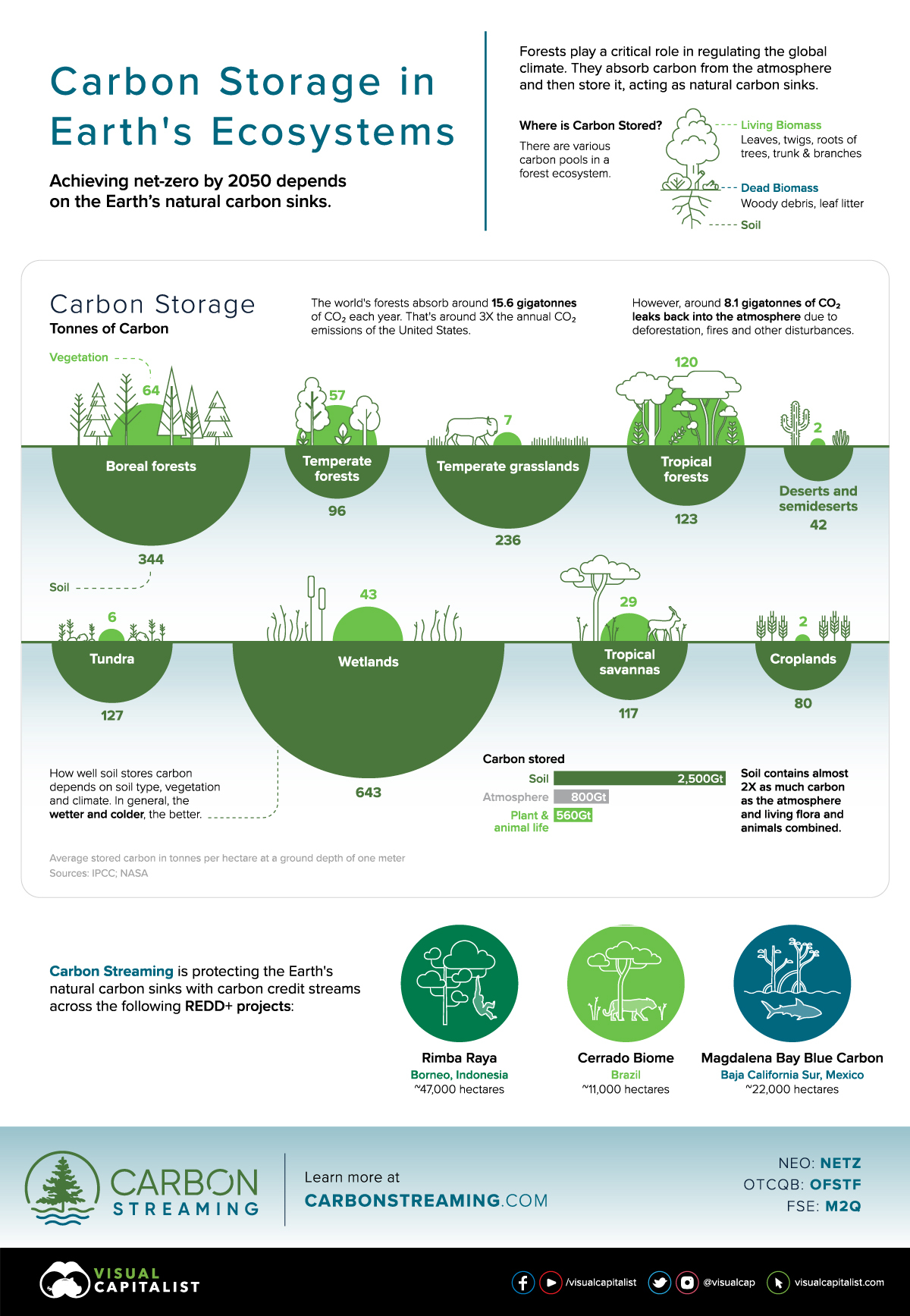 top carbon capture companies stock