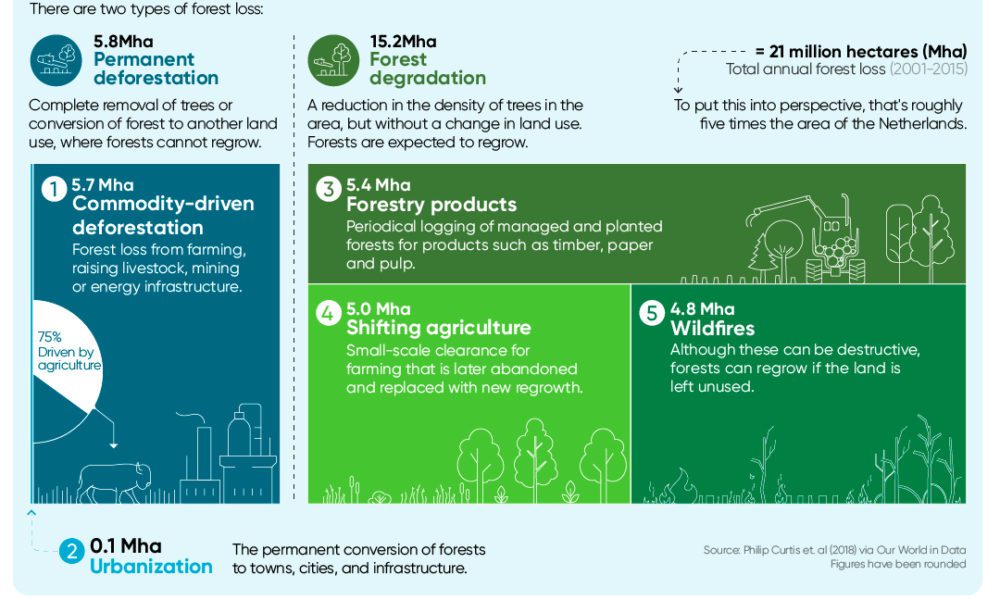 Infographic: Understanding The World's Water Access Issue