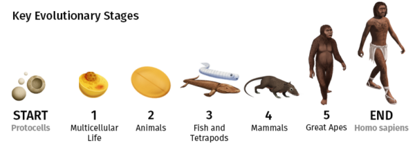 Visualized The 4 Billion Year Path Of Human Evolution 8141