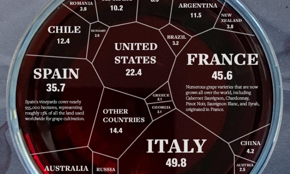 A Guide to Argentina's Top Five Wine Regions – With Infographic
