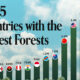 A cropped bar chart with the top 10 countries with the largest forests as measured in square kilometers.