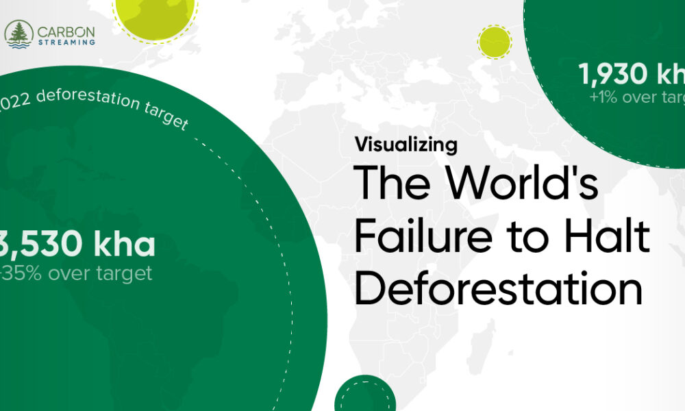 Visualizing The World's Failure to Halt Deforestation