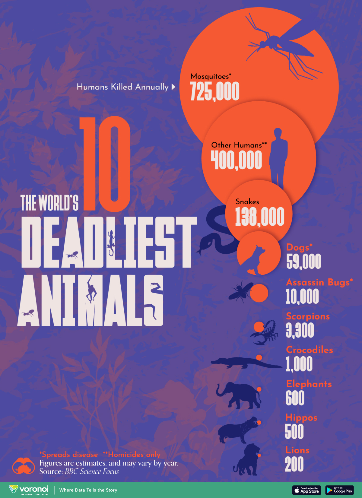 A chart ranking the top 10 deadliest animals by the number of people killed per year.
