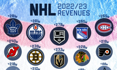 Visualization of NHL team revenues