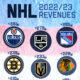 Visualization of NHL team revenues