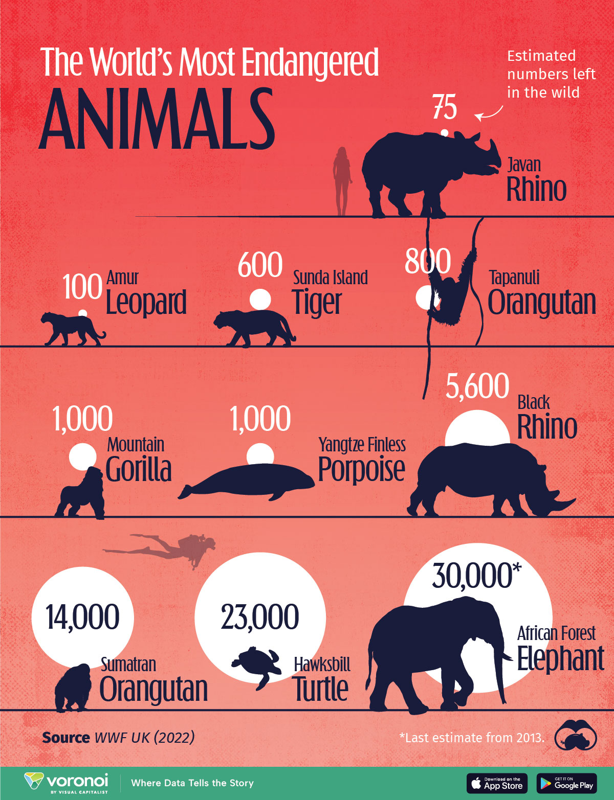 This graphic shows the most endangered animals by numbers found in the wild, per estimates from the World Wildlife Fund (WWF) UK.