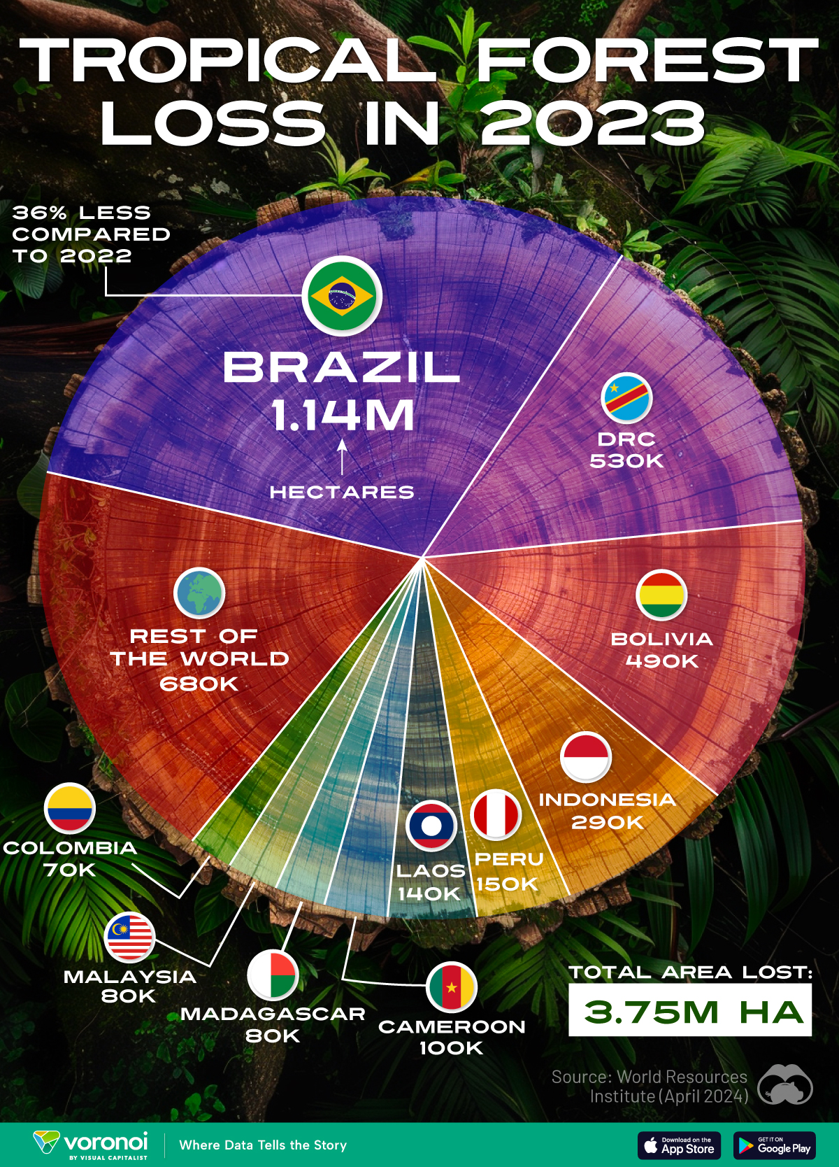 Voronoi graphic showing tropical forest loss in 2023.