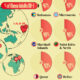 A cropped chart and map of the top fifteen countries with the highest % of obese adults.