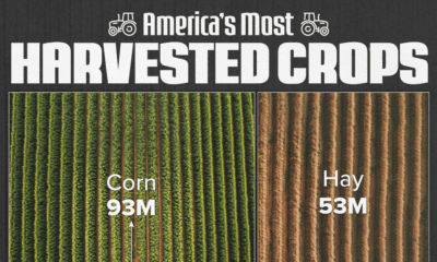 This graphic breaks down the most harvested crops in the U.S., by acres reaped in 2023.