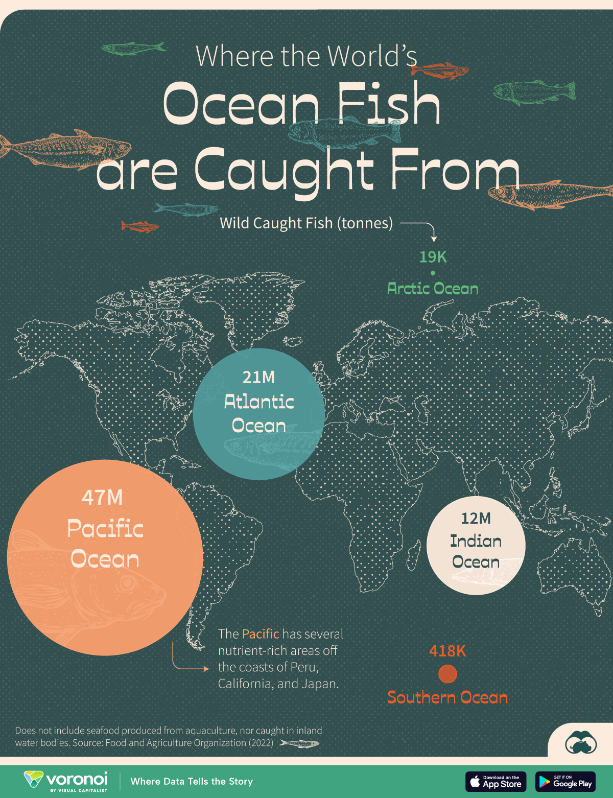 This map visualizes how much of the annual wild caught fish is sourced from each of the world’s major oceans.