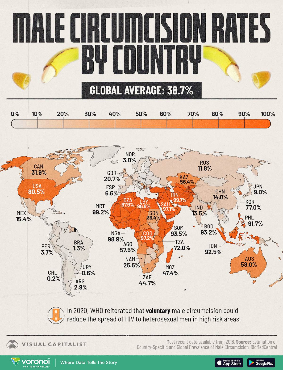 This graphic maps out the male circumcision rate by country.