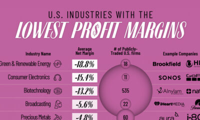 This chart ranks the U.S. industries with the lowest average profit margin in 2024.