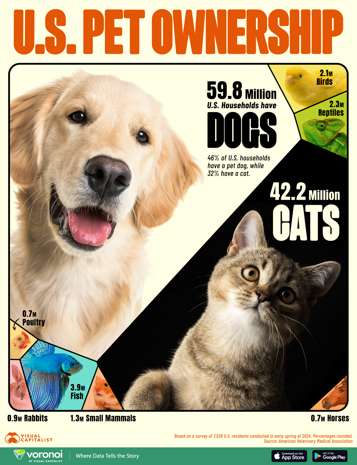 Photographic chart showing U.S. pet ownership rates in 2024.